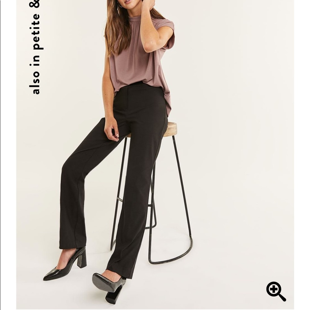 Dress Pants
